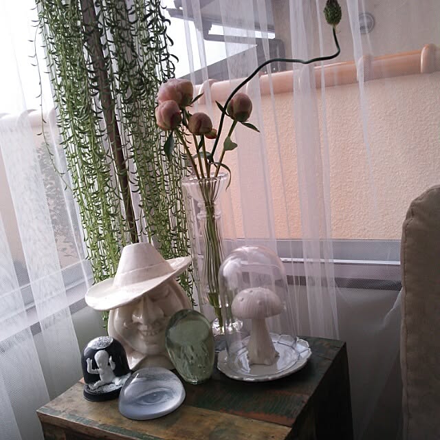 moppiさんの実例写真