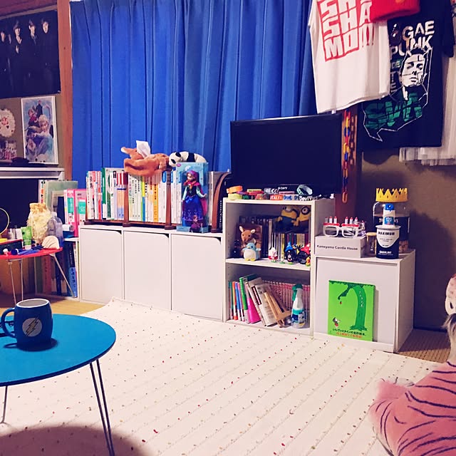 PunPkinFishさんの実例写真