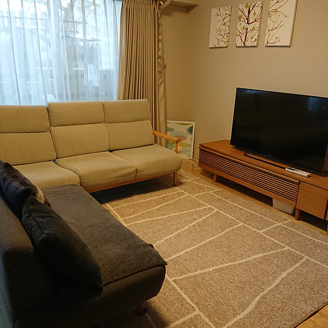 部屋全体/北欧/ソファのインテリア実例 - 2019-03-21 11:11:23