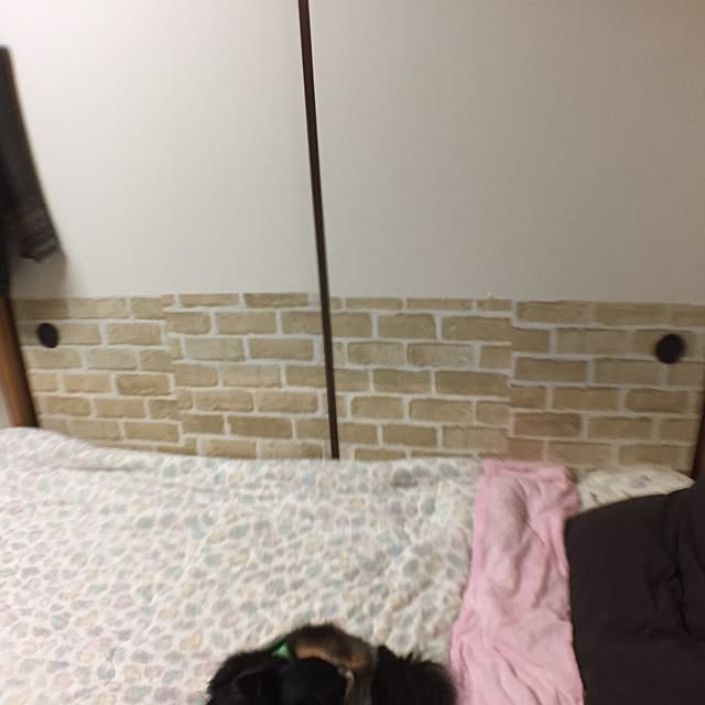 elmon0529さんの実例写真