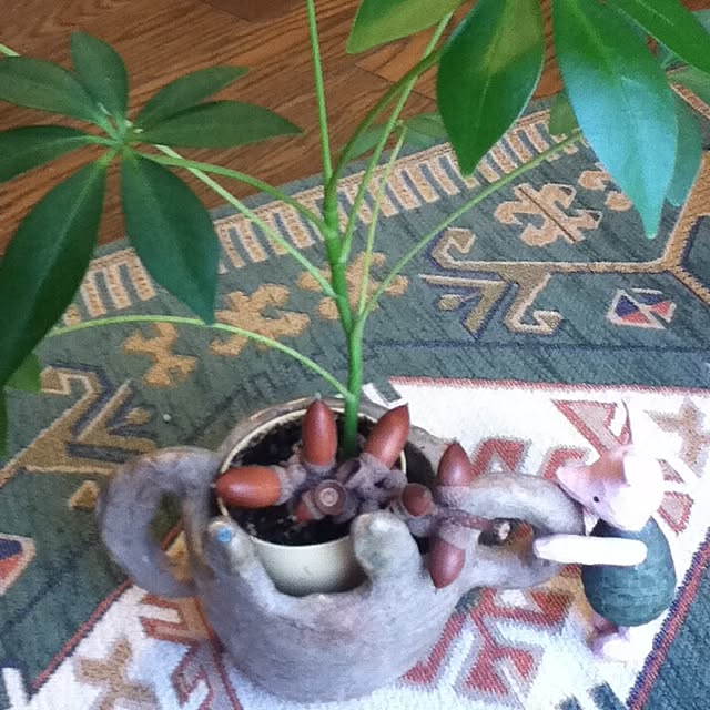 emichanbooさんの実例写真