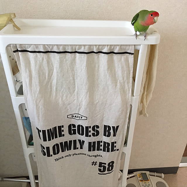 toratanさんの実例写真
