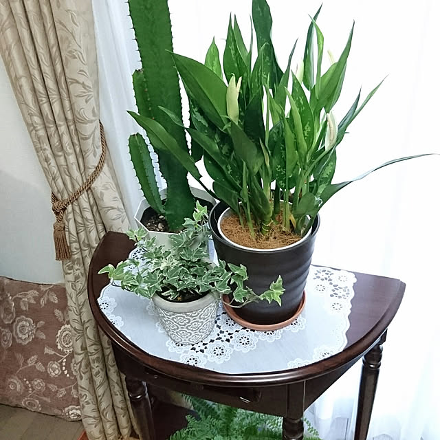 misaさんの実例写真