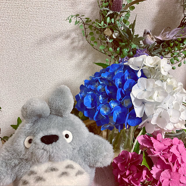 y---iさんの実例写真