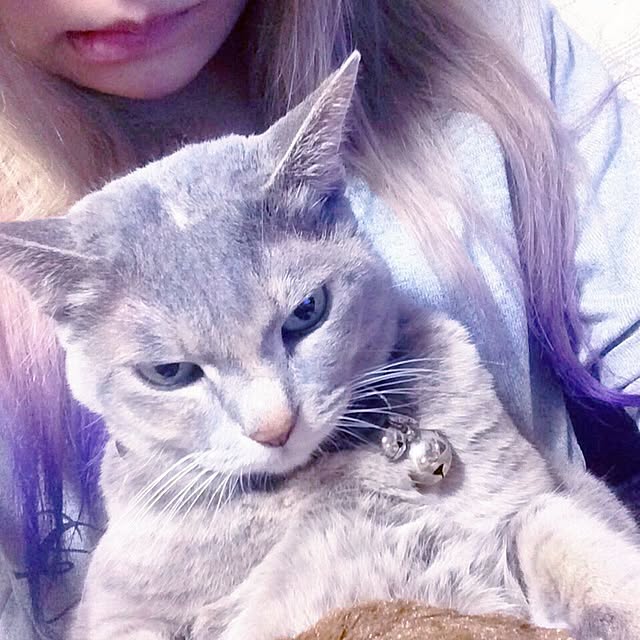 LIO_27さんの実例写真