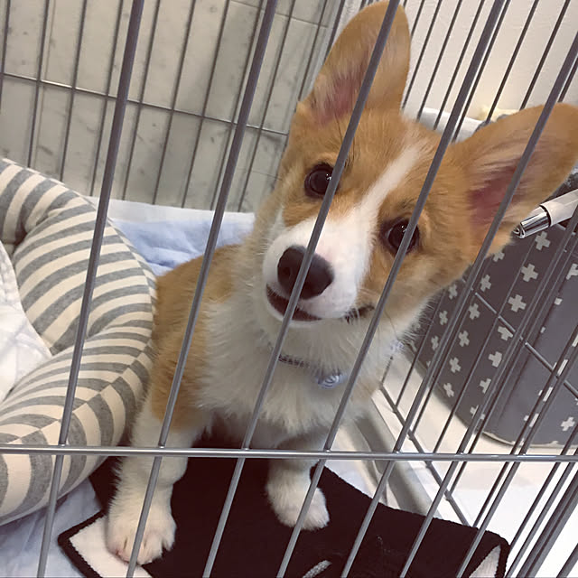 3ayuさんの実例写真
