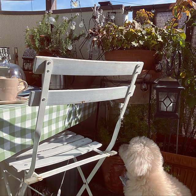 madamkaoriさんの部屋