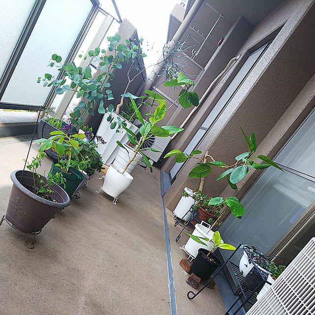 n0516さんの実例写真