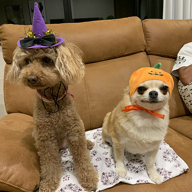 moko7ruiさんの実例写真