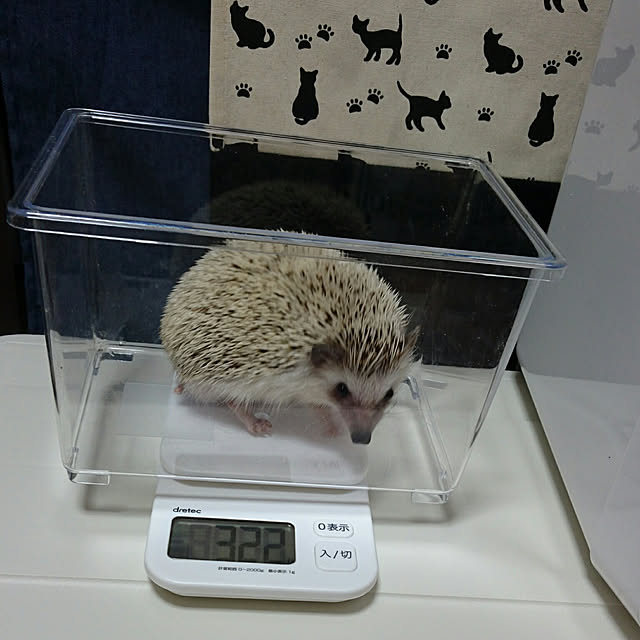 Reikomさんの実例写真