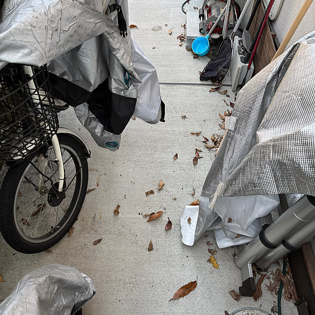 maimai0110さんの部屋