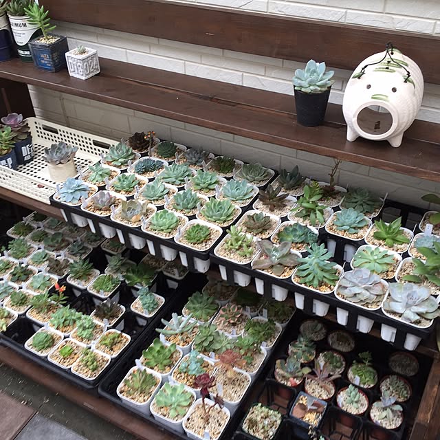 ecoさんの実例写真