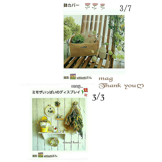 umiumiさんの実例写真