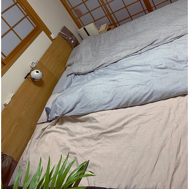 soraさんの実例写真