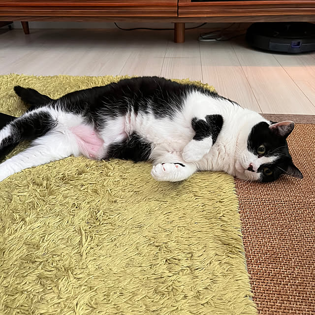 kojimasaさんの部屋