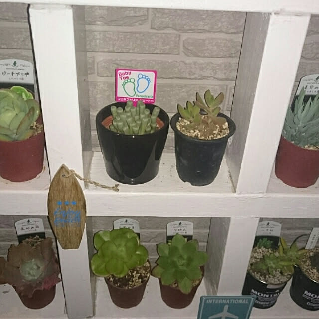 hideさんの実例写真