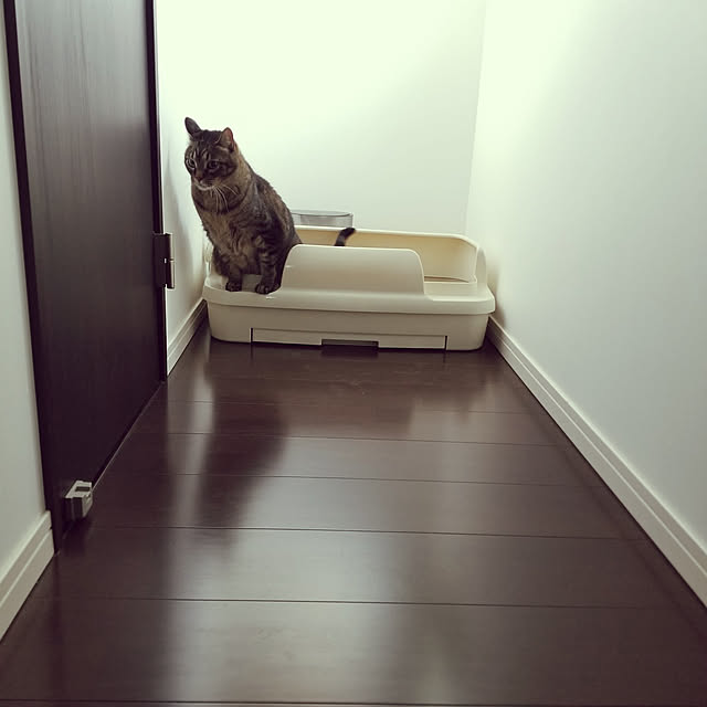 ymmtさんの実例写真