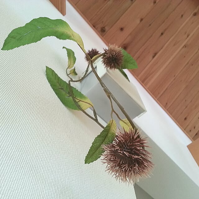 naoさんの実例写真