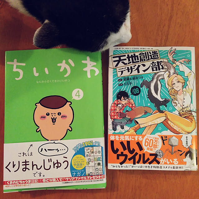 futukoさんの実例写真