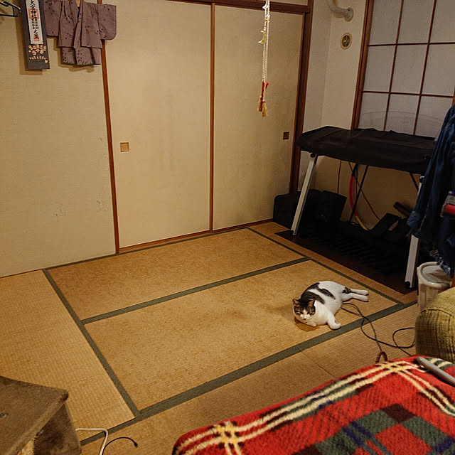 okyosan101さんの実例写真