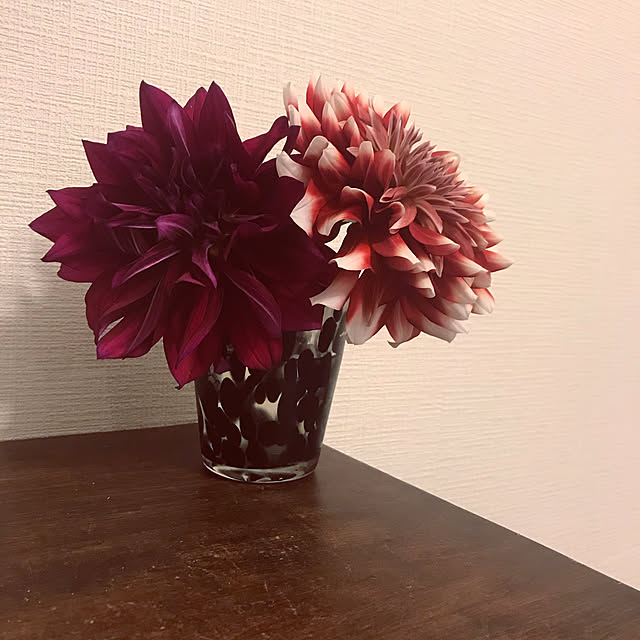 mmocanさんの実例写真