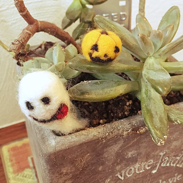 Kuronecoさんの実例写真