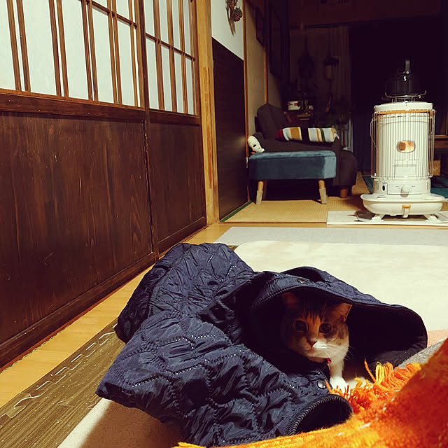 fukuさんの実例写真