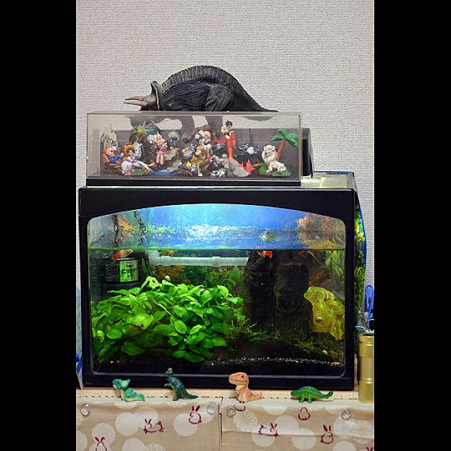 yumetukihahaさんの実例写真
