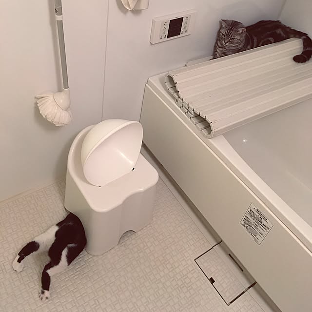 mikomaruさんの実例写真