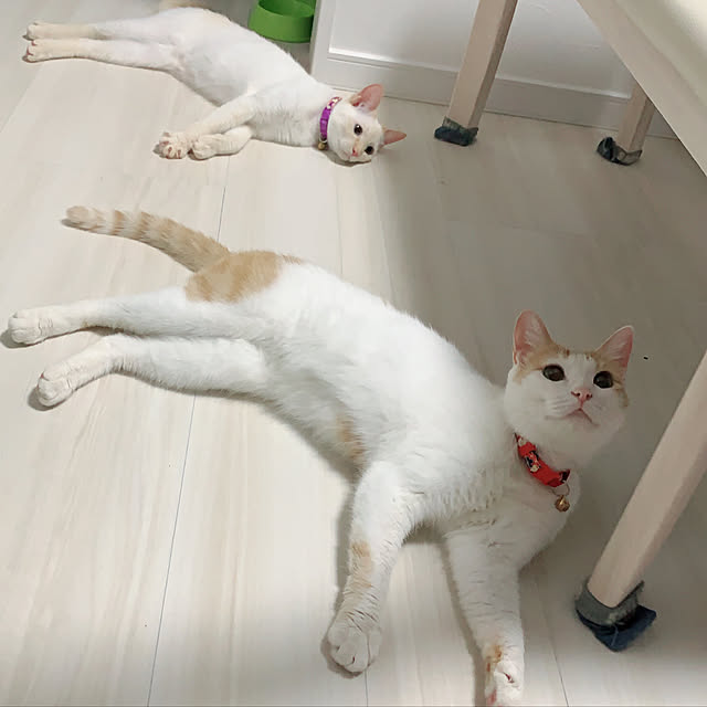 haryu1202さんの実例写真