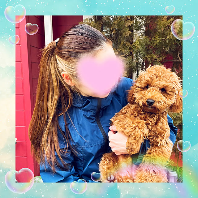 mimi828さんの実例写真