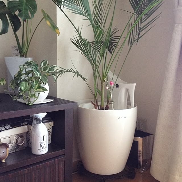 konekoginjiさんの実例写真