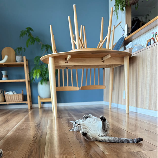 amさんの実例写真