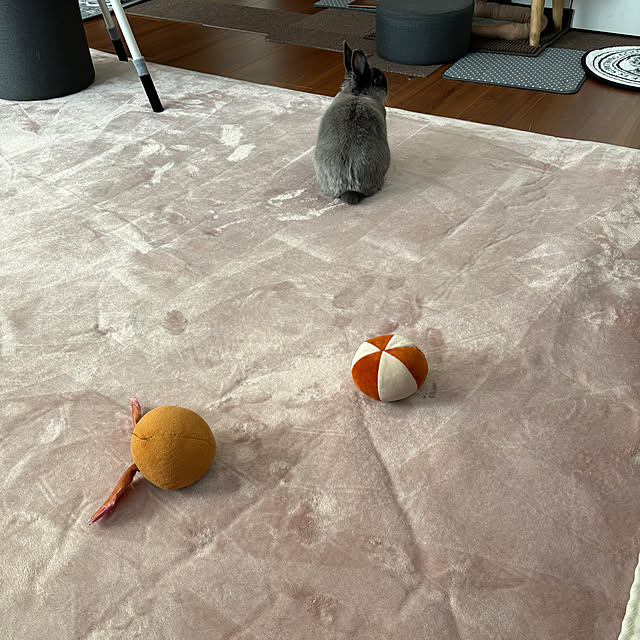 kirariさんの部屋