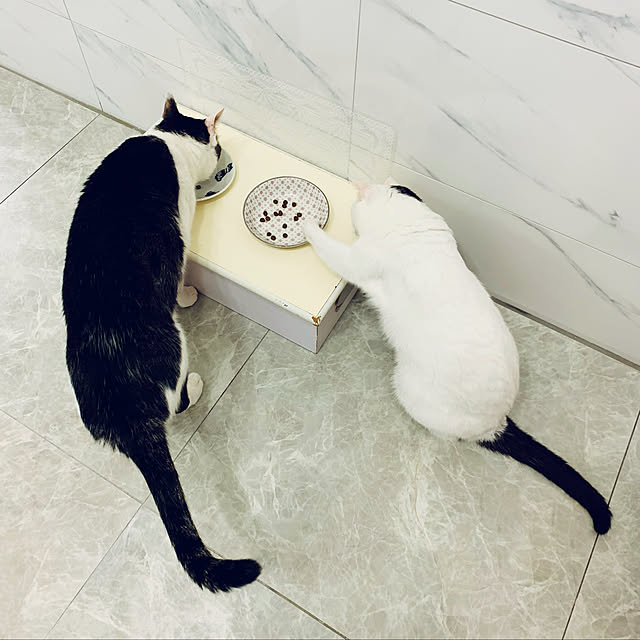 pcu110さんの実例写真
