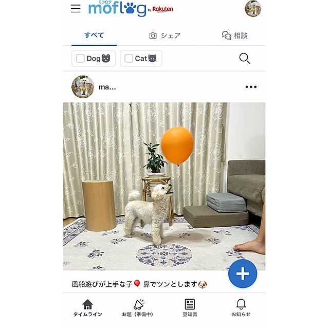 ma...さんの実例写真