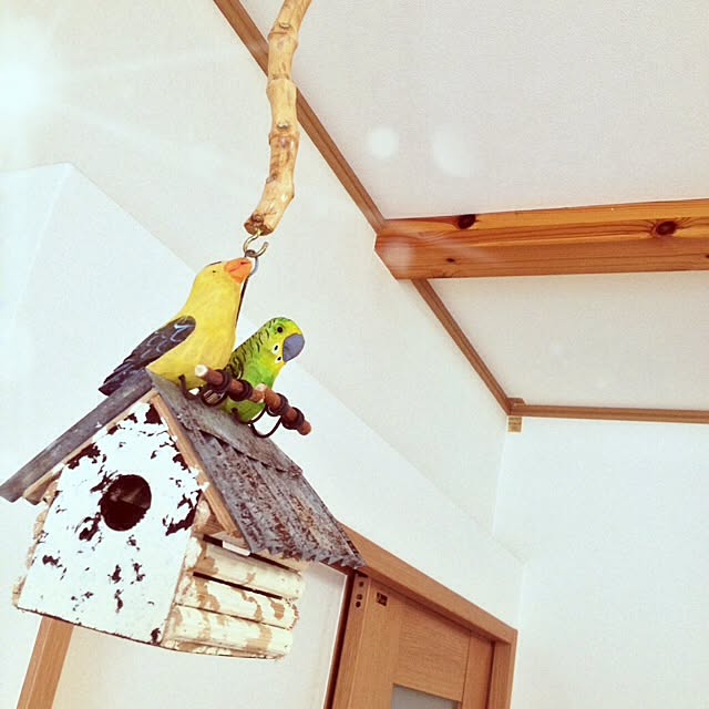 Sachuさんの実例写真
