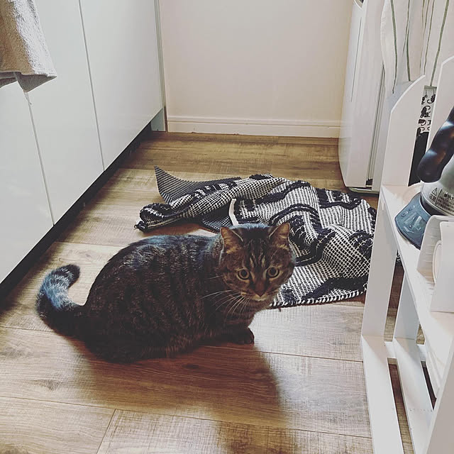 nocomomさんの実例写真