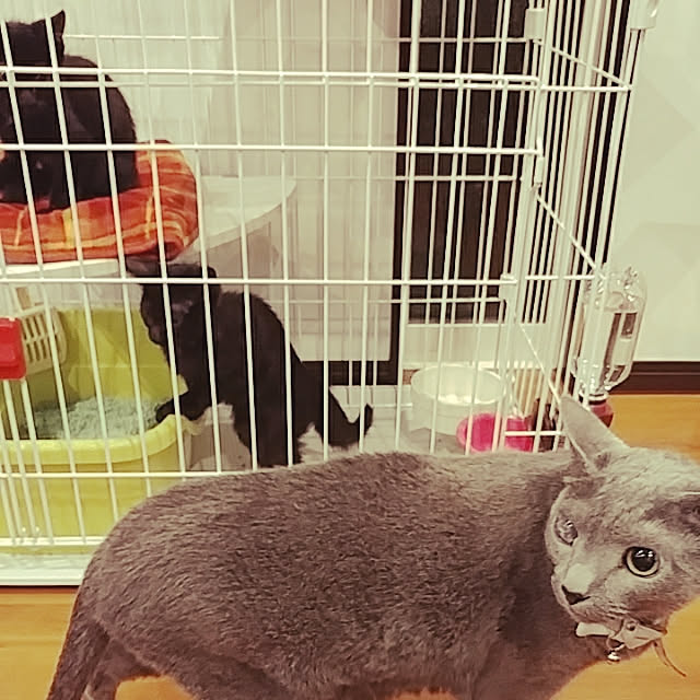 BLACKさんの実例写真