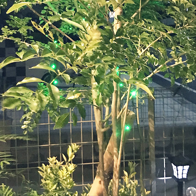 Ruriさんの実例写真