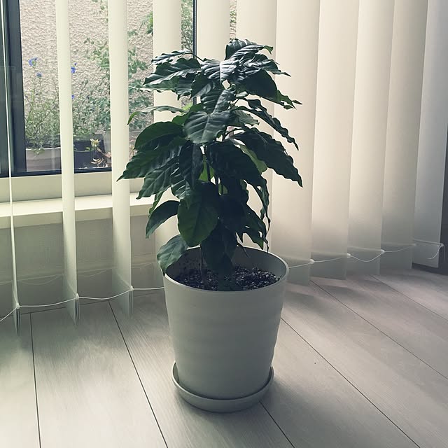 tatianaさんの実例写真