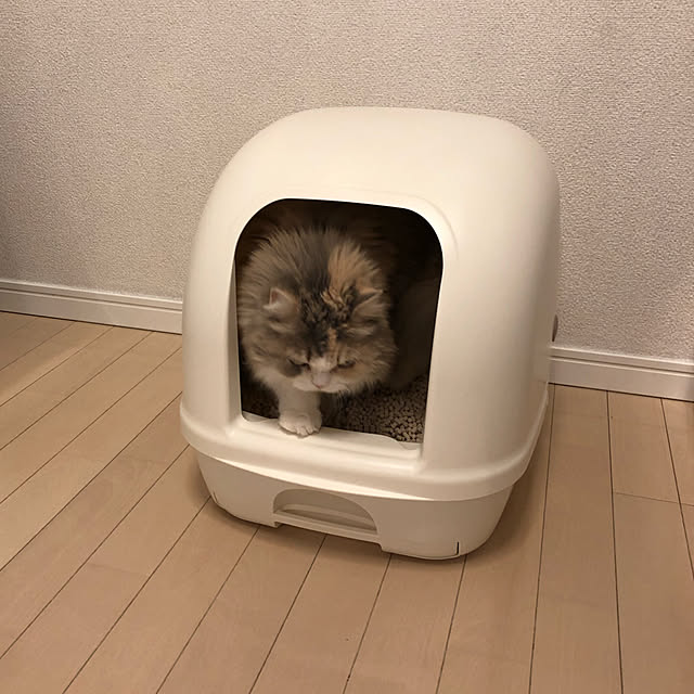 mittyさんの実例写真