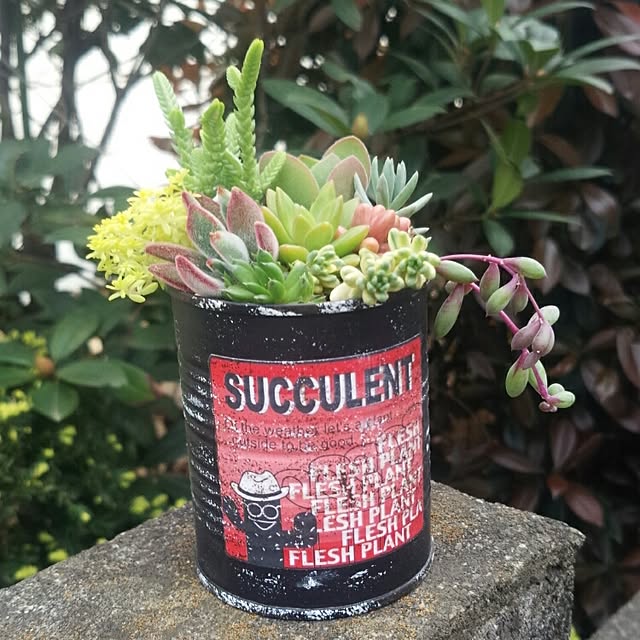 rurucchiさんの実例写真
