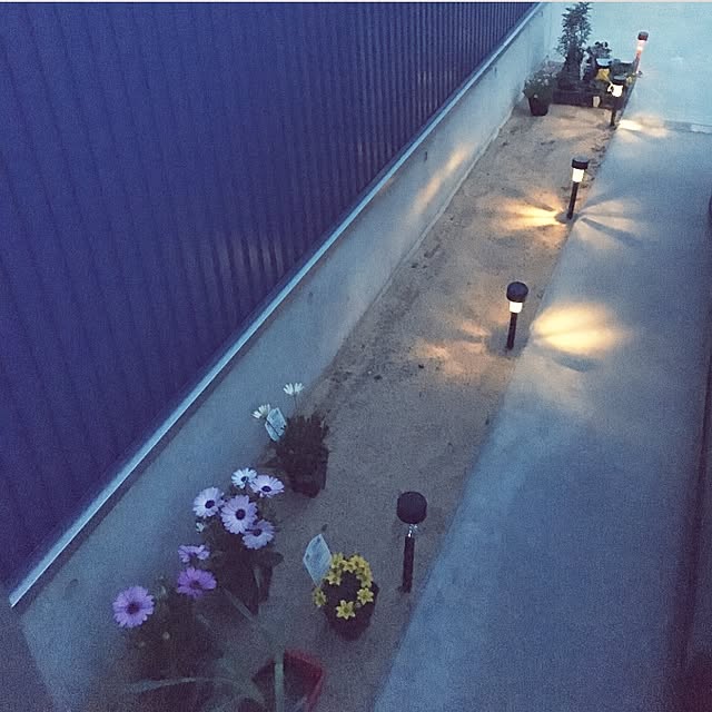 taitaiさんの実例写真