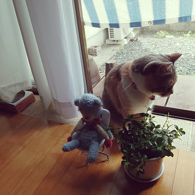 fukuさんの実例写真