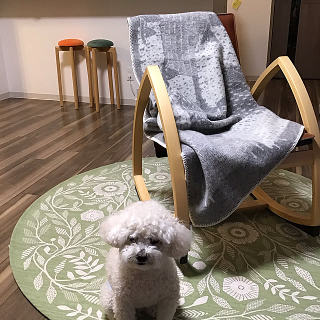 junさんの実例写真