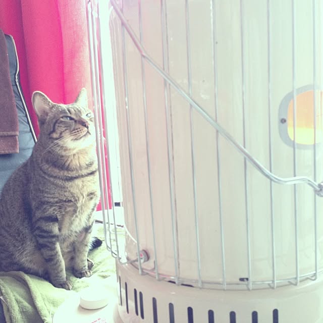 Mioさんの実例写真