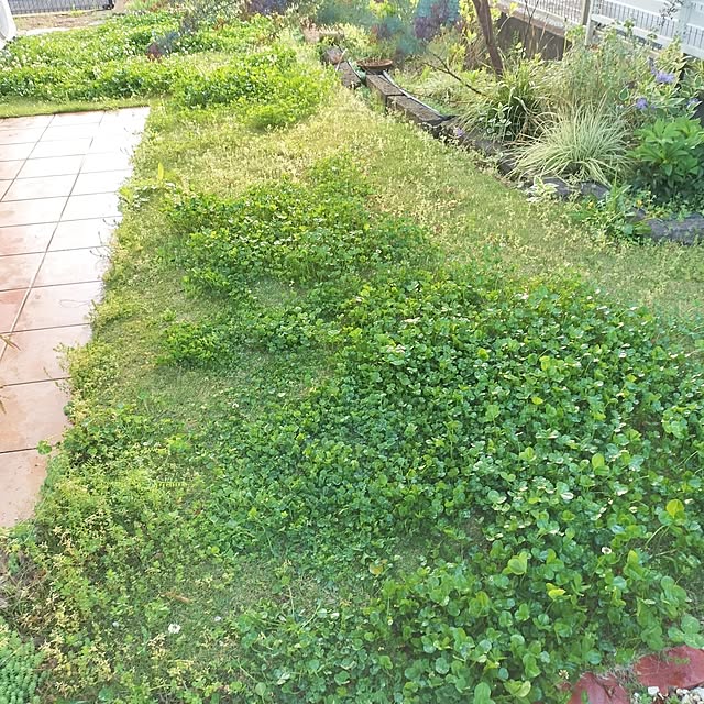feuileさんの部屋