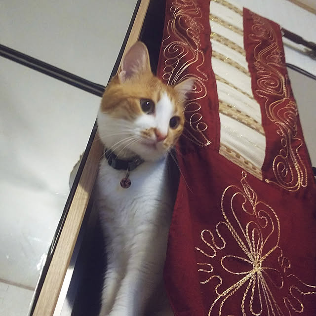 uutann320mozukuさんの実例写真