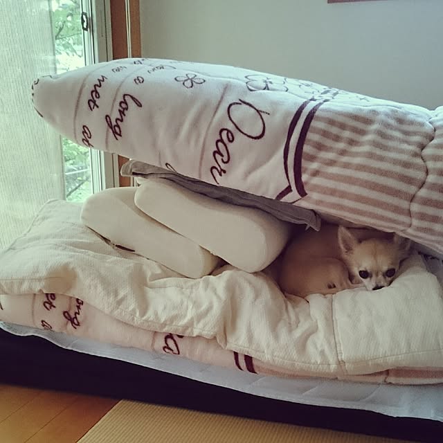 rumiさんの実例写真